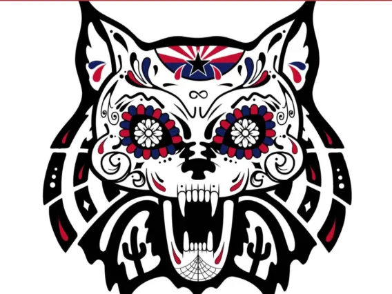 wildcat sugar skull