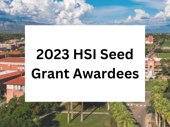 2023 HSI Faculty Seed Grant Awardees