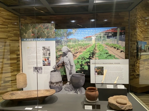 museum artifacts